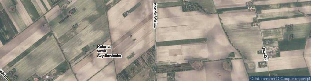 Zdjęcie satelitarne Kolonia Wola Szydłowiecka ul.